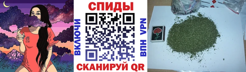 где найти   Канаш  блэк спрут зеркало  БУТИРАТ вода 