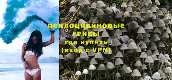 ГАЛЛЮЦИНОГЕННЫЕ ГРИБЫ Одинцово