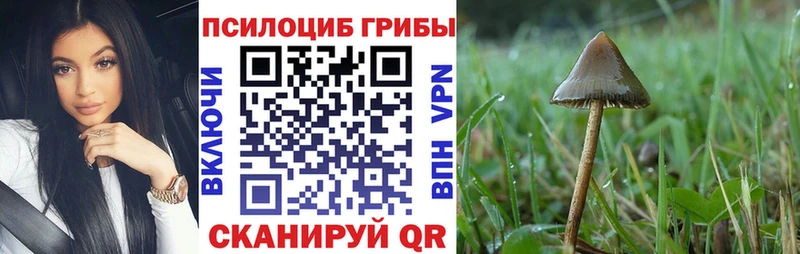 Галлюциногенные грибы MAGIC MUSHROOMS  Канаш 
